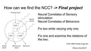 Week 6 neural basis of consciousness neural correlates of consciousness ...