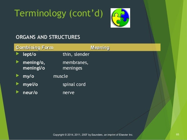 week 6 presentation the combining form meaning spinal cord is