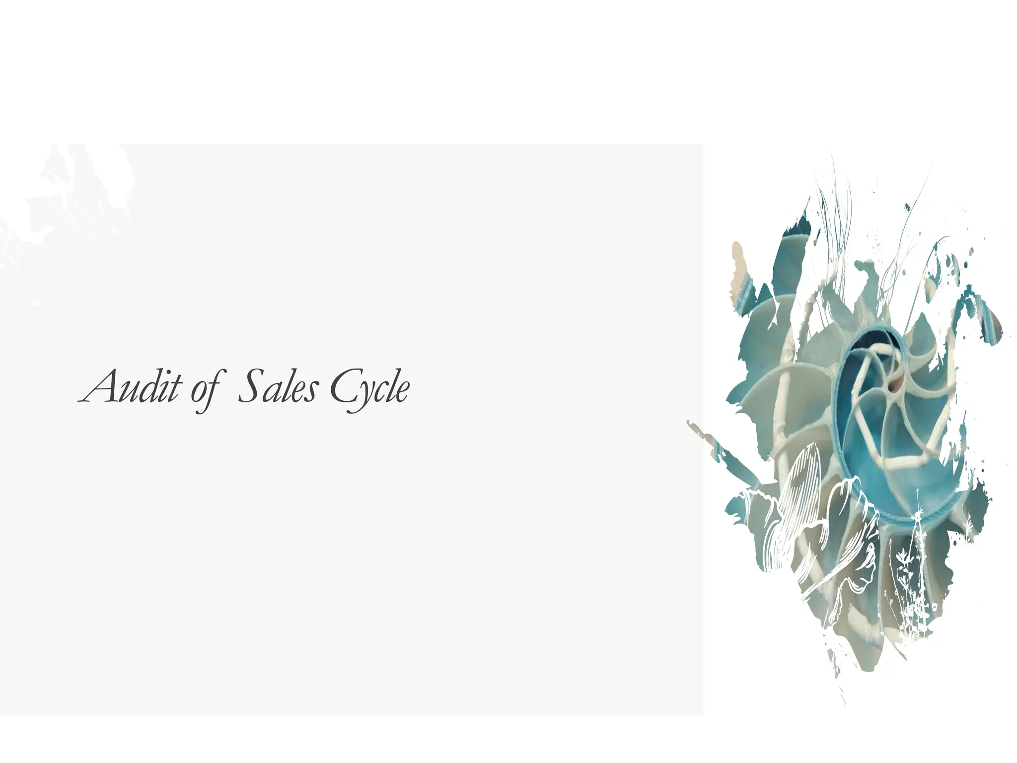 Audit of Sales Cycle
 