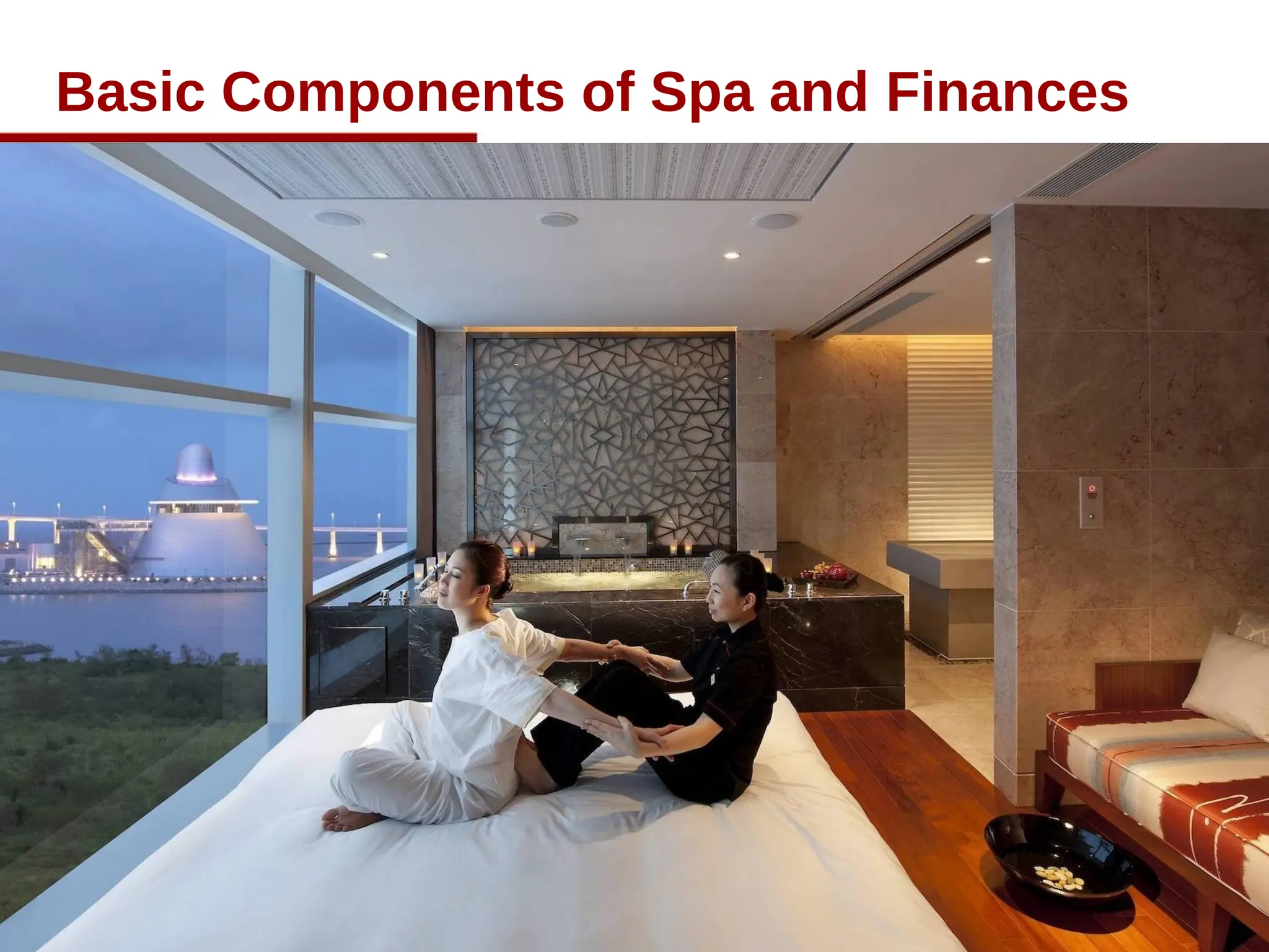 Basic Components of Spa and Finances
30
 