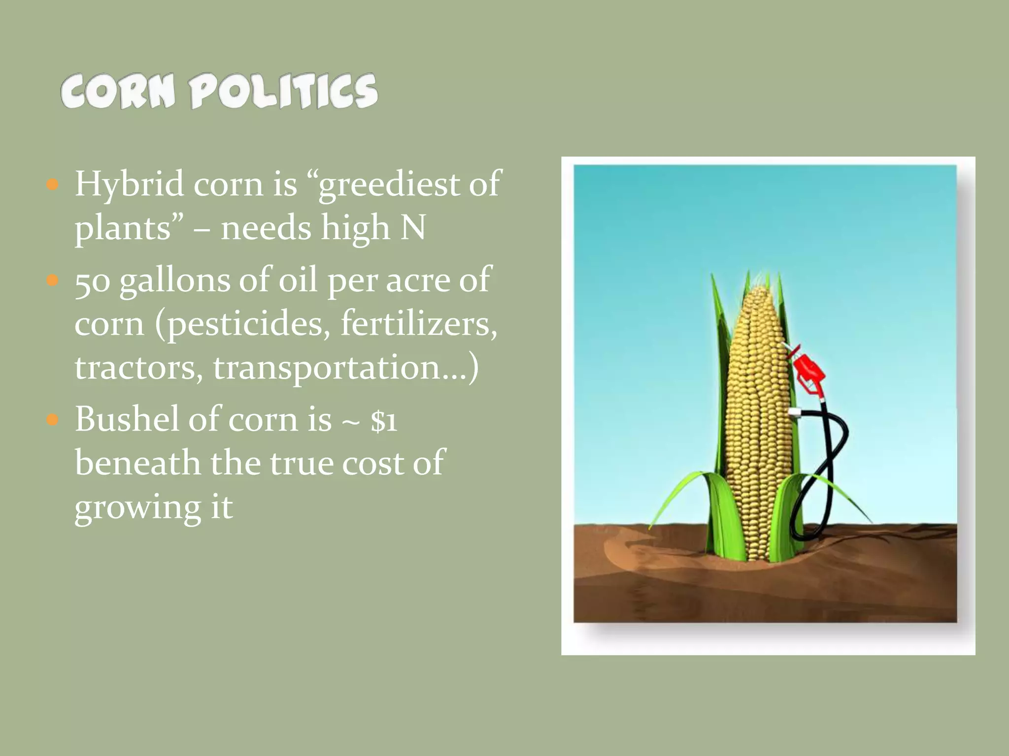  Hybrid corn is “greediest of

plants” – needs high N
 50 gallons of oil per acre of
corn (pesticides, fertilizers,
tractors, transportation…)
 Bushel of corn is ~ $1
beneath the true cost of
growing it

 