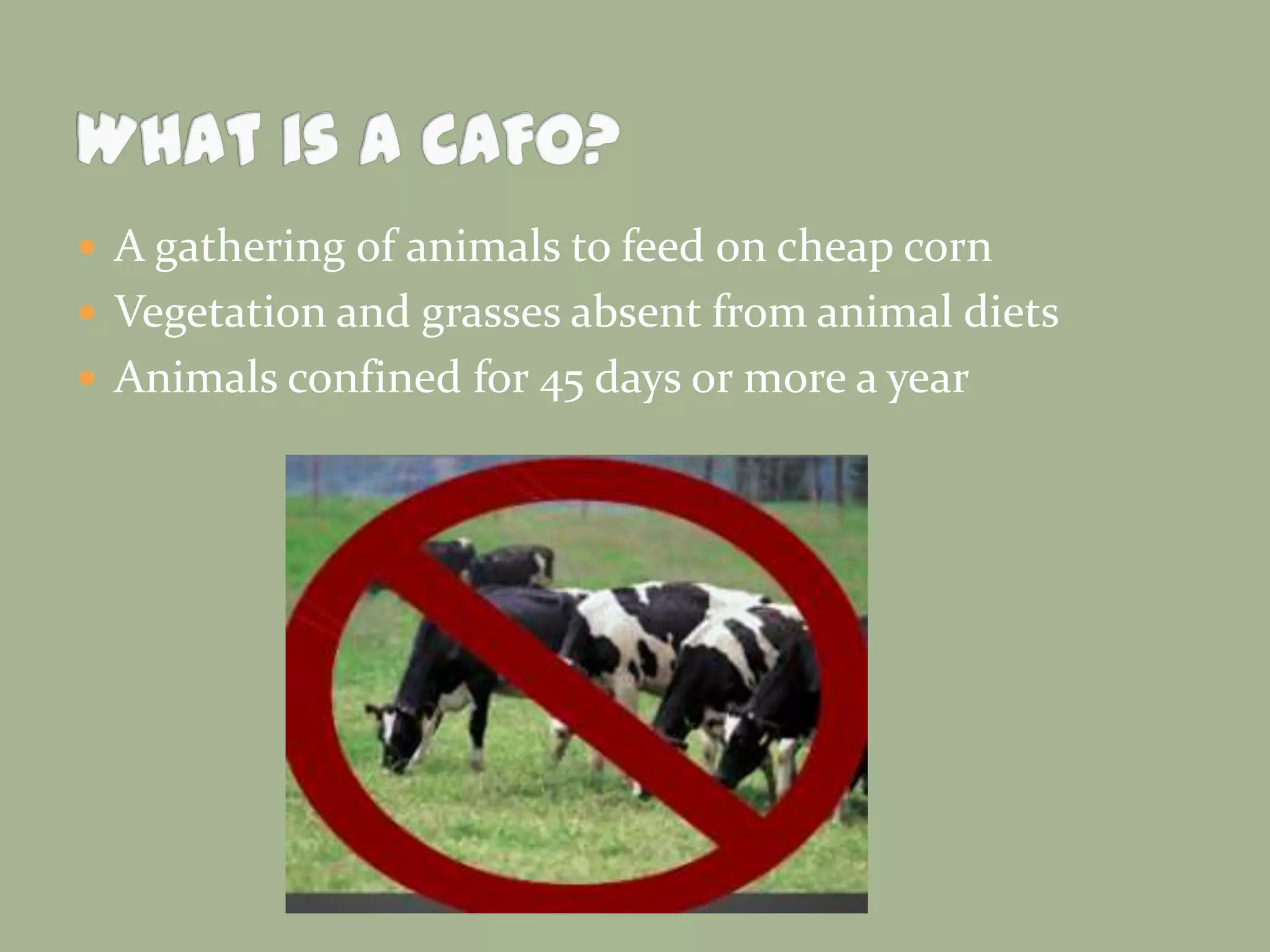  A gathering of animals to feed on cheap corn
 Vegetation and grasses absent from animal diets
 Animals confined for 45 days or more a year

 