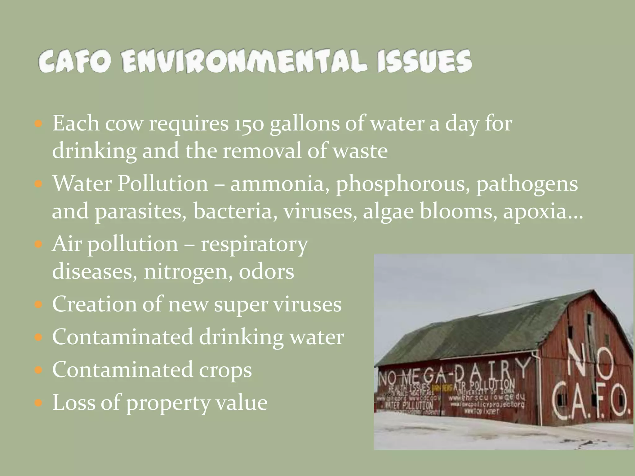  Each cow requires 150 gallons of water a day for







drinking and the removal of waste
Water Pollution – ammonia, phosphorous, pathogens
and parasites, bacteria, viruses, algae blooms, apoxia…
Air pollution – respiratory
diseases, nitrogen, odors
Creation of new super viruses
Contaminated drinking water
Contaminated crops
Loss of property value

 