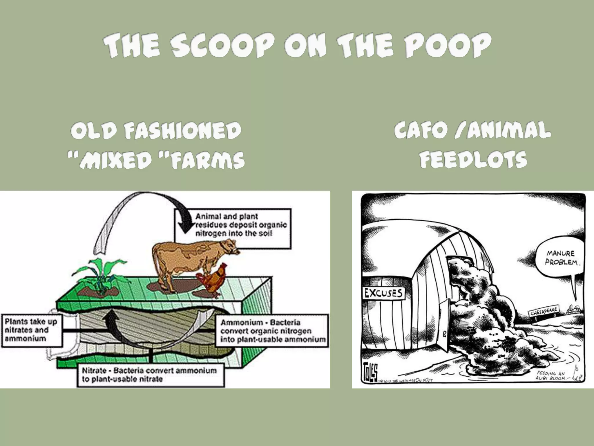 Week 7   Commodity Crops and CAFOs