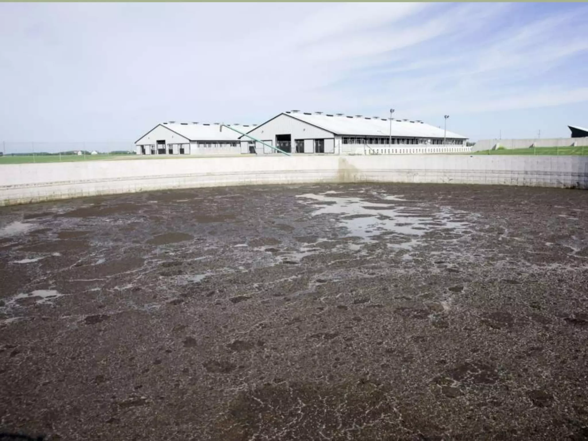 Week 7   Commodity Crops and CAFOs