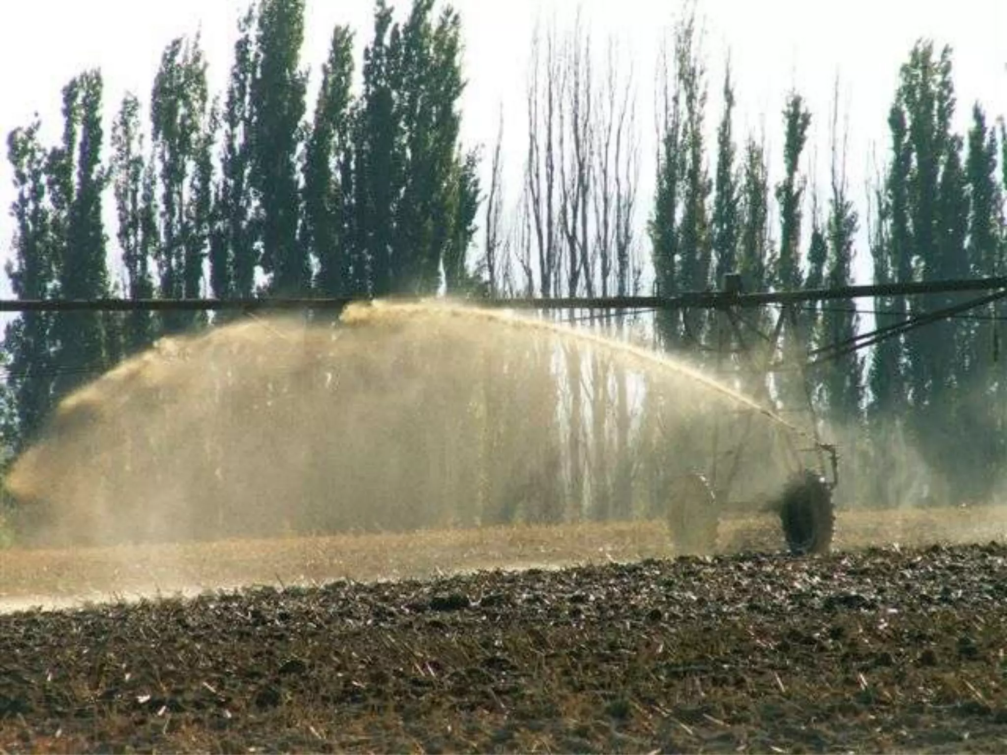 Week 7   Commodity Crops and CAFOs