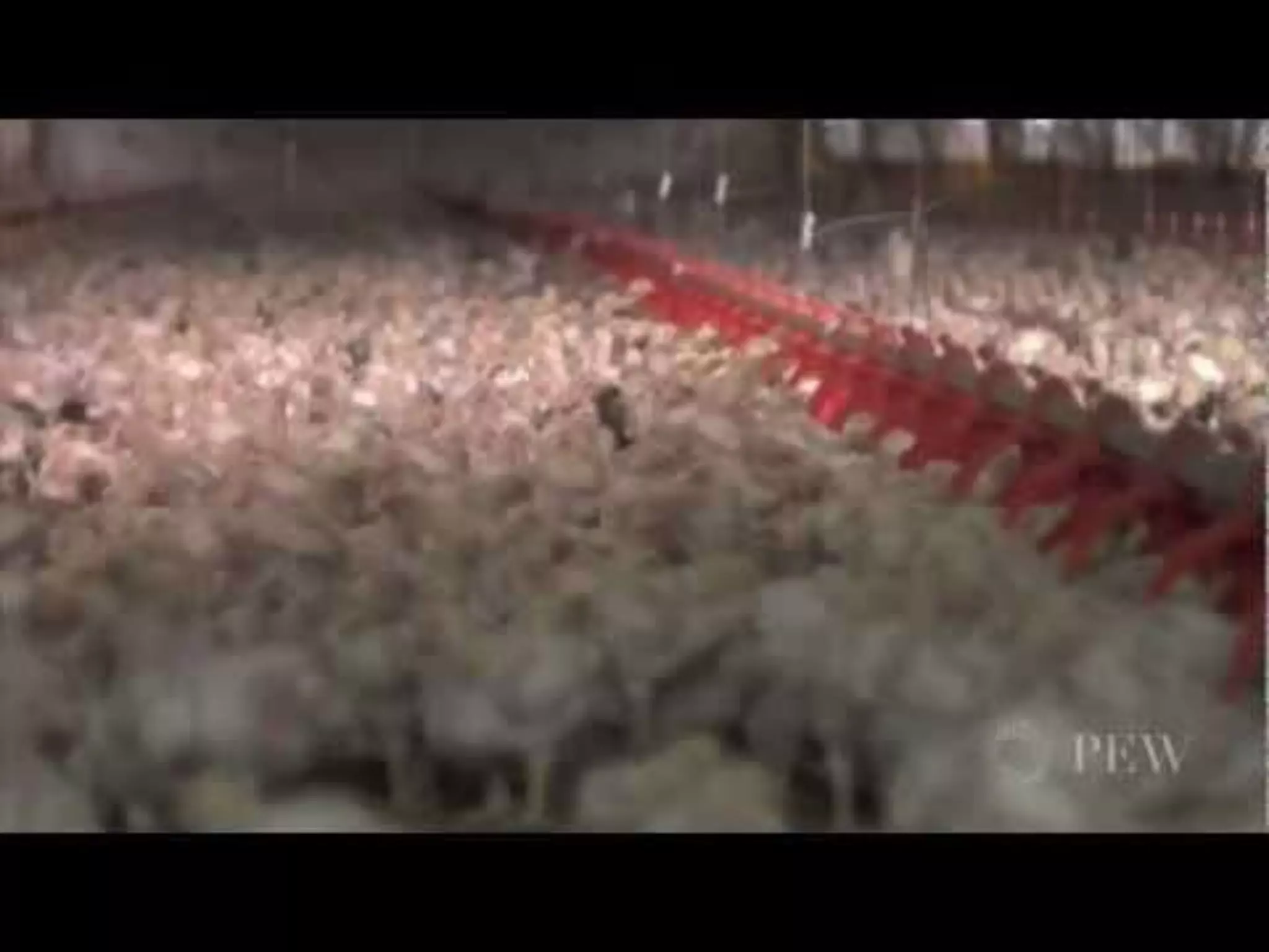 Week 7   Commodity Crops and CAFOs