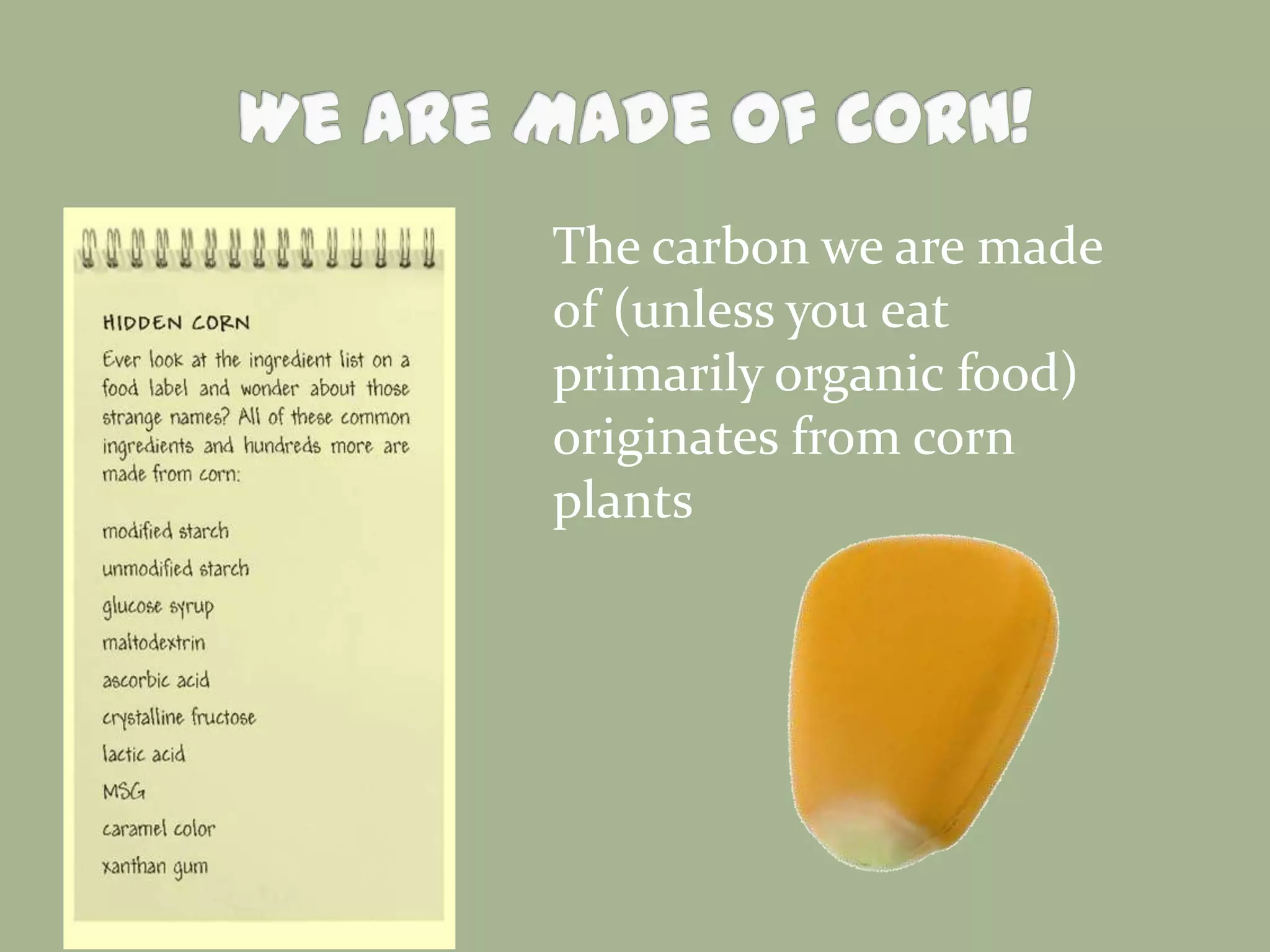 The carbon we are made
of (unless you eat
primarily organic food)
originates from corn
plants

 