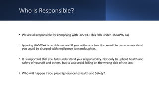 Hasawa Sign Examples Comprehensive Guide to Safe Working Practices in Additive Manufacturing ...