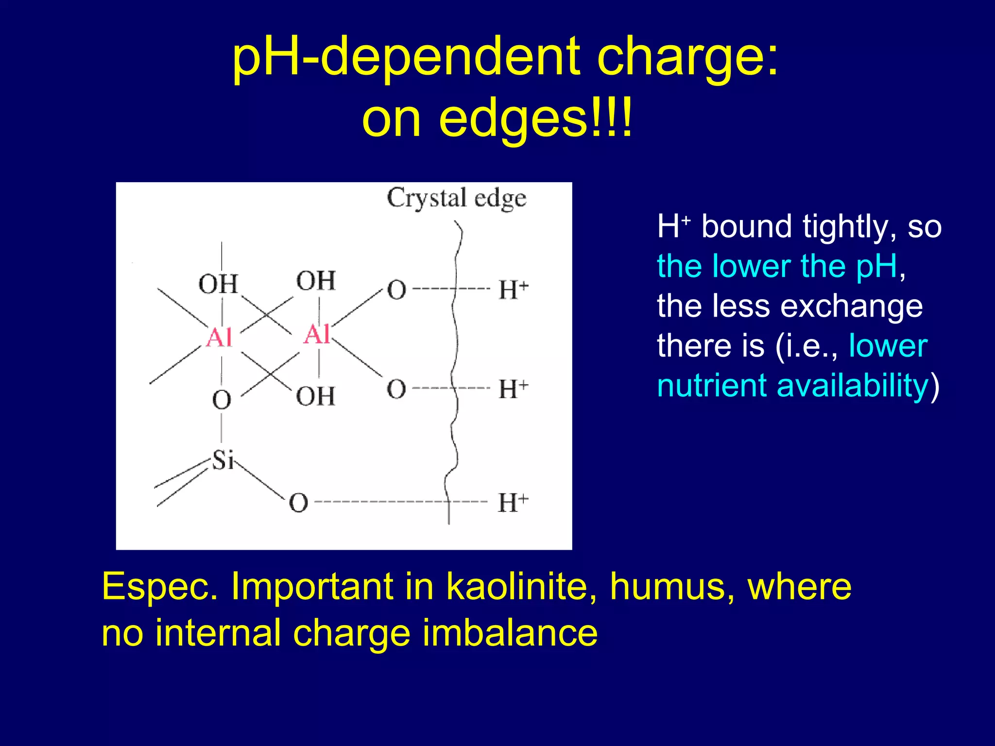 pH-dependent charge: on edges!!!  Espec. Important in kaolinite, humus, where no internal charge imbalance H +  bound tightly, so  the lower the pH , the less exchange there is (i.e.,  lower nutrient availability ) 