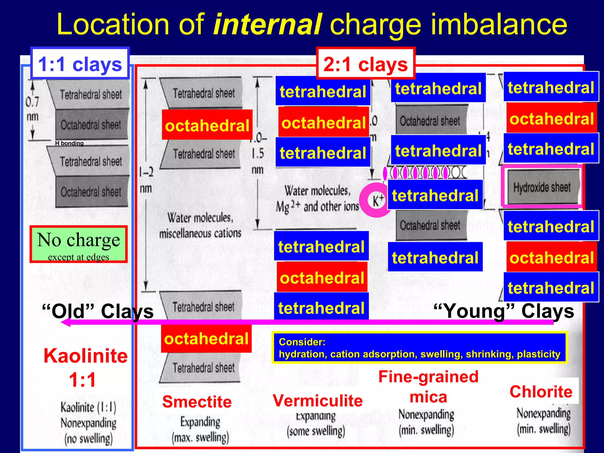 Smectite Kaolinite1:1  Fine-grained mica Chlorite 1:1 clays Location of  internal  charge imbalance No charge except at edges octahedral tetrahedral octahedral tetrahedral tetrahedral octahedral tetrahedral tetrahedral octahedral tetrahedral tetrahedral tetrahedral tetrahedral tetrahedral tetrahedral octahedral tetrahedral octahedral Vermiculite 2:1 clays H bonding Consider:  hydration, cation adsorption, swelling, shrinking, plasticity “ Young” Clays “ Old” Clays 