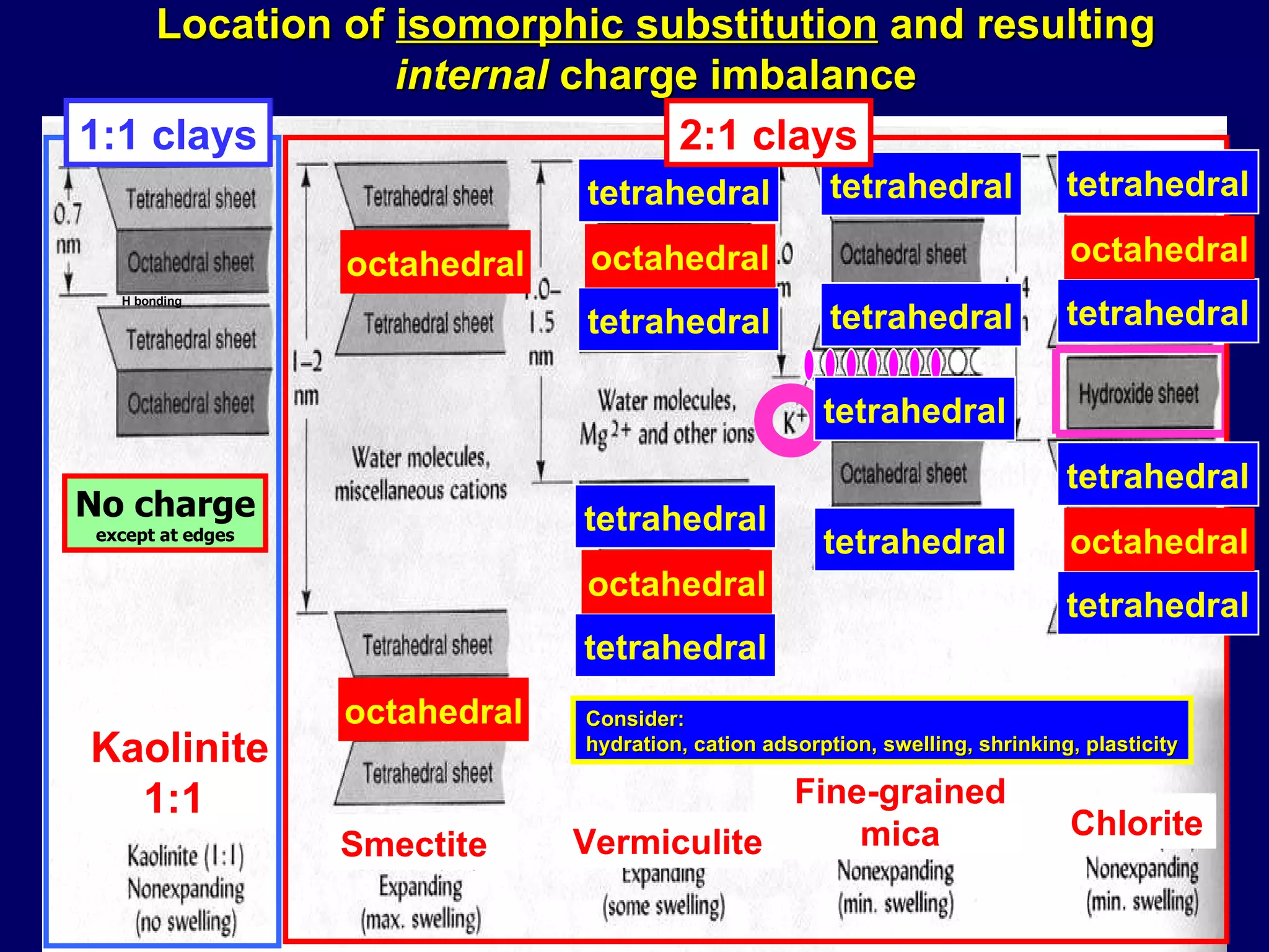 Smectite Kaolinite1:1  Fine-grained mica Chlorite 1:1 clays Location of  isomorphic substitution  and resulting  internal  charge imbalance No charge except at edges octahedral tetrahedral octahedral tetrahedral tetrahedral octahedral tetrahedral tetrahedral octahedral tetrahedral tetrahedral tetrahedral tetrahedral tetrahedral tetrahedral octahedral tetrahedral octahedral Vermiculite 2:1 clays H bonding Consider:  hydration, cation adsorption, swelling, shrinking, plasticity 