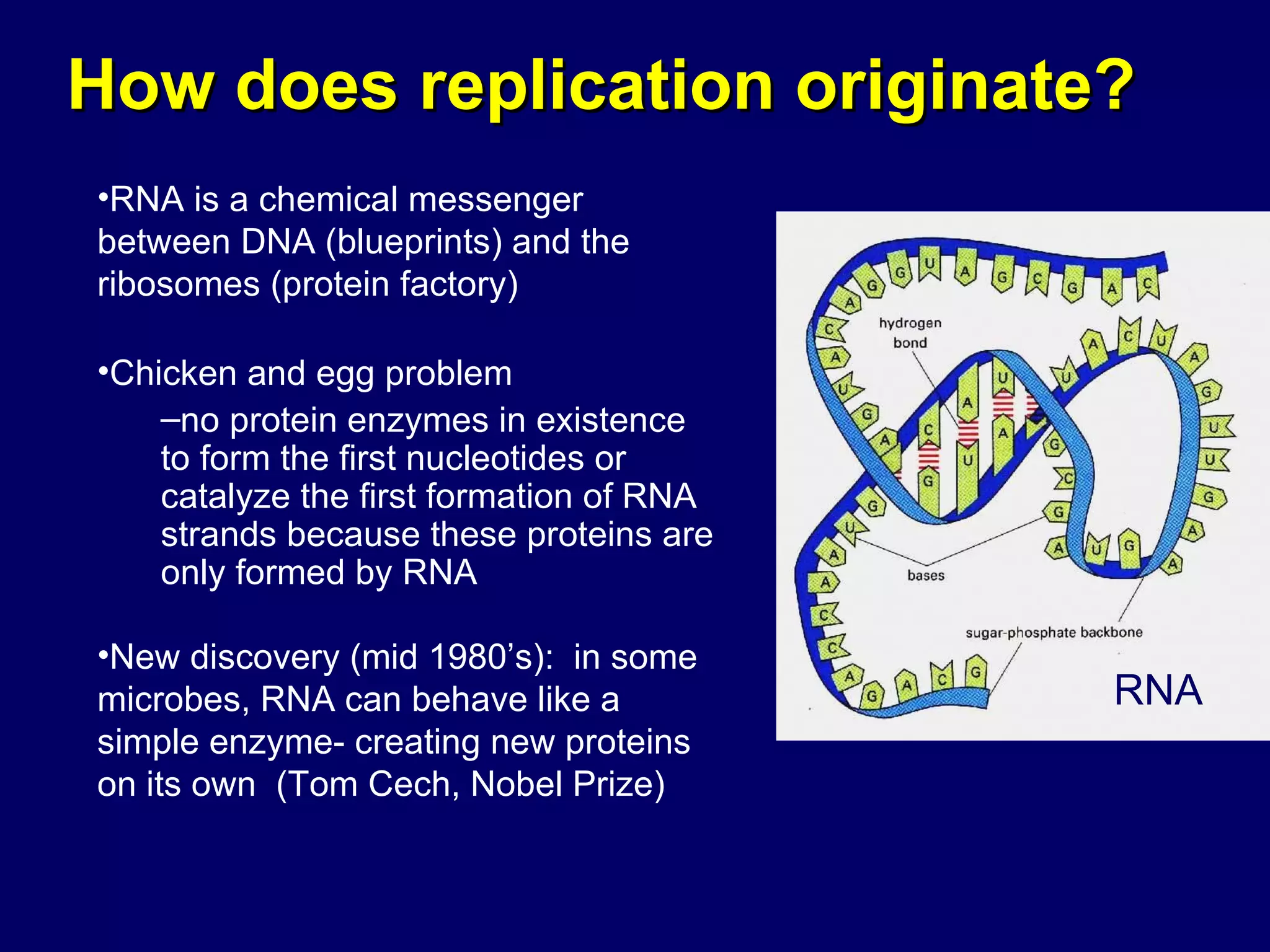 RNA is a chemical messenger between DNA (blueprints) and the ribosomes (protein factory) Chicken and egg problem no protein enzymes in existence to form the first nucleotides or catalyze the first formation of RNA strands because these proteins are only formed by RNA New discovery (mid 1980’s):  in some microbes, RNA can behave like a simple enzyme- creating new proteins on its own  (Tom Cech, Nobel Prize) How does replication originate? RNA 