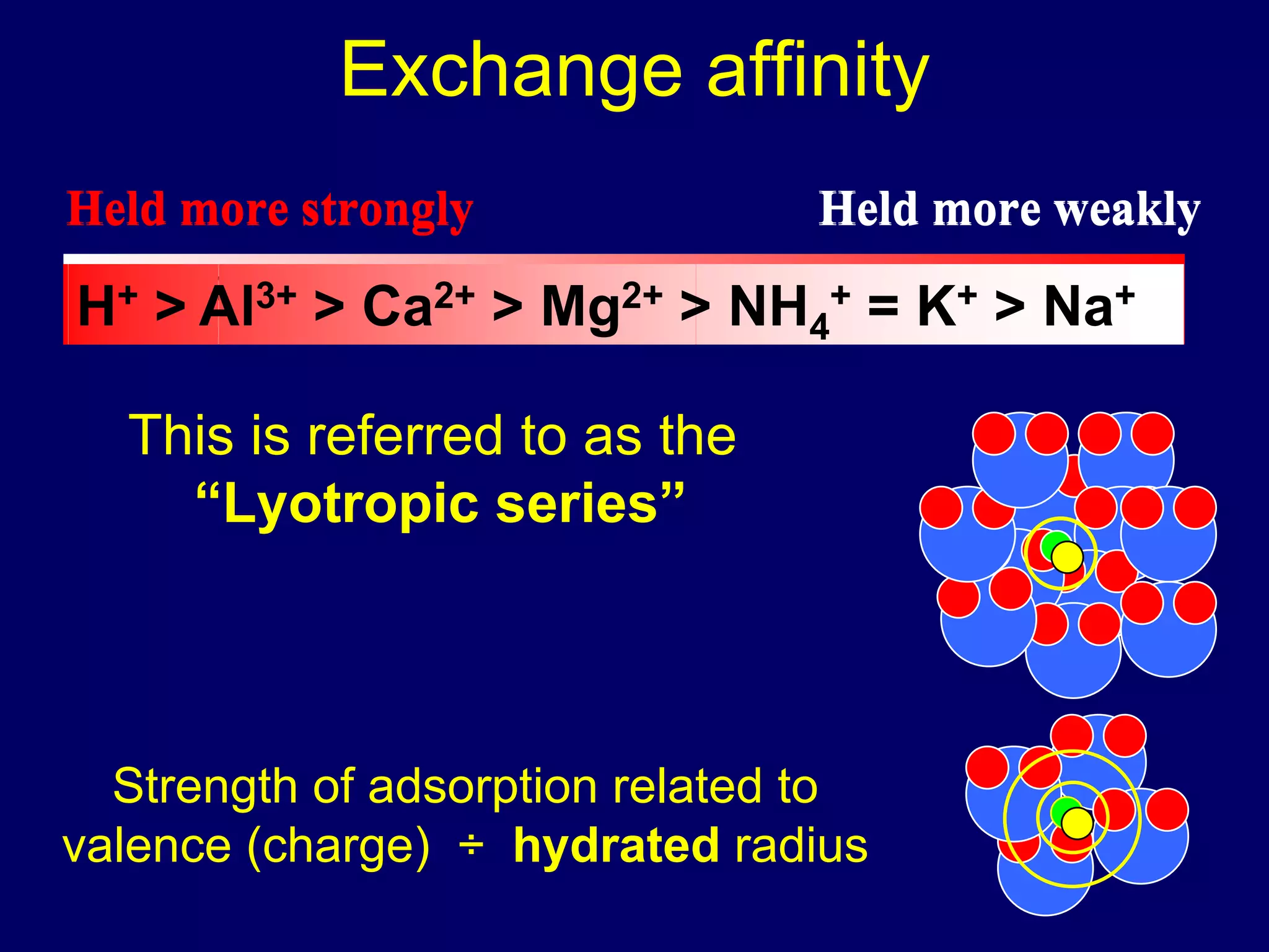 Exchange affinity Held more strongly Held more weakly This is referred to as the  “ Lyotropic series” Al 3+  > Ca 2+  > Mg 2+  > NH 4 +  = K +  > Na + Strength of adsorption related to valence (charge)  ÷  hydrated  radius 
