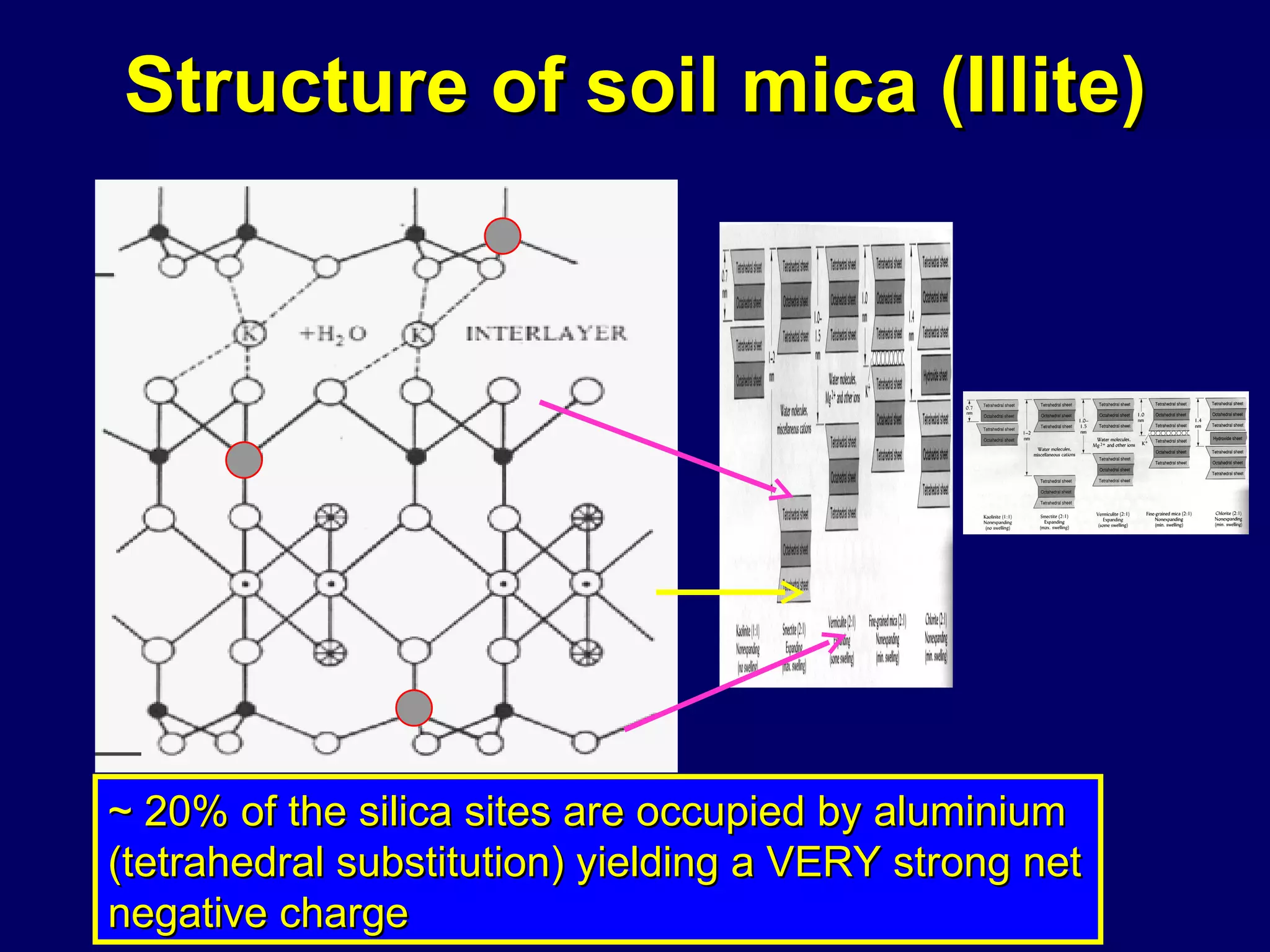 Structure of soil mica (Illite) ~ 20% of the silica sites are occupied by aluminium (tetrahedral substitution) yielding a VERY strong net negative charge 