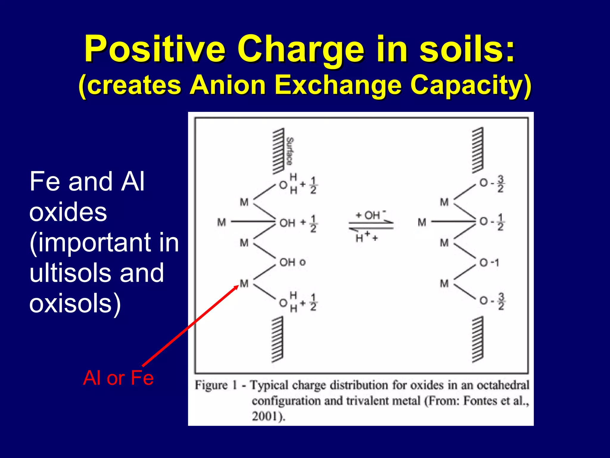 Positive Charge in soils:  (creates Anion Exchange Capacity) Fe and Al oxides (important in ultisols and oxisols) Al or Fe 