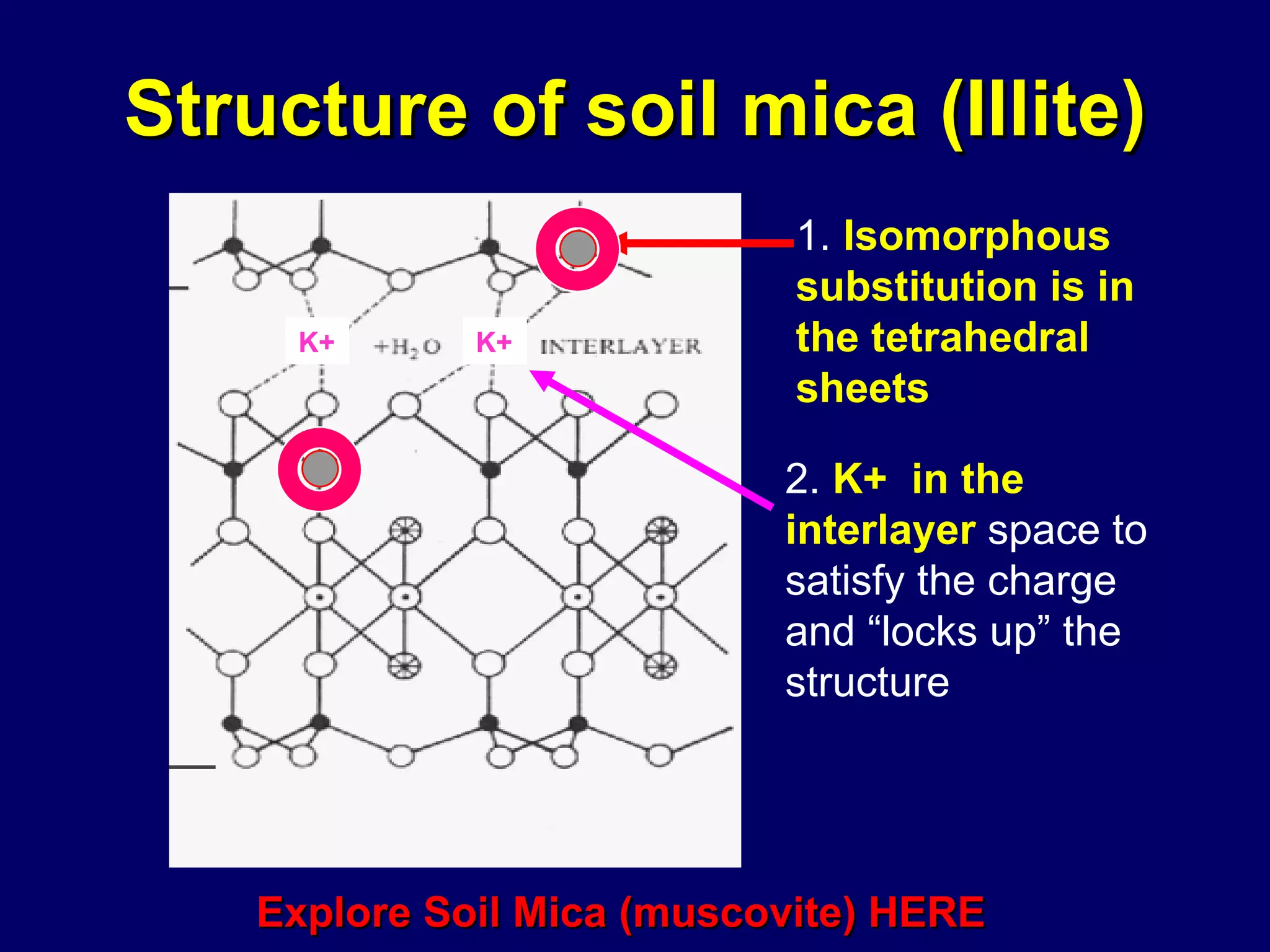 Structure of soil mica (Illite) Explore Soil Mica (muscovite) HERE 1.  Isomorphous substitution is in the tetrahedral sheets 2.  K+  in the interlayer  space to satisfy the charge and “locks up” the structure K+ K+ 