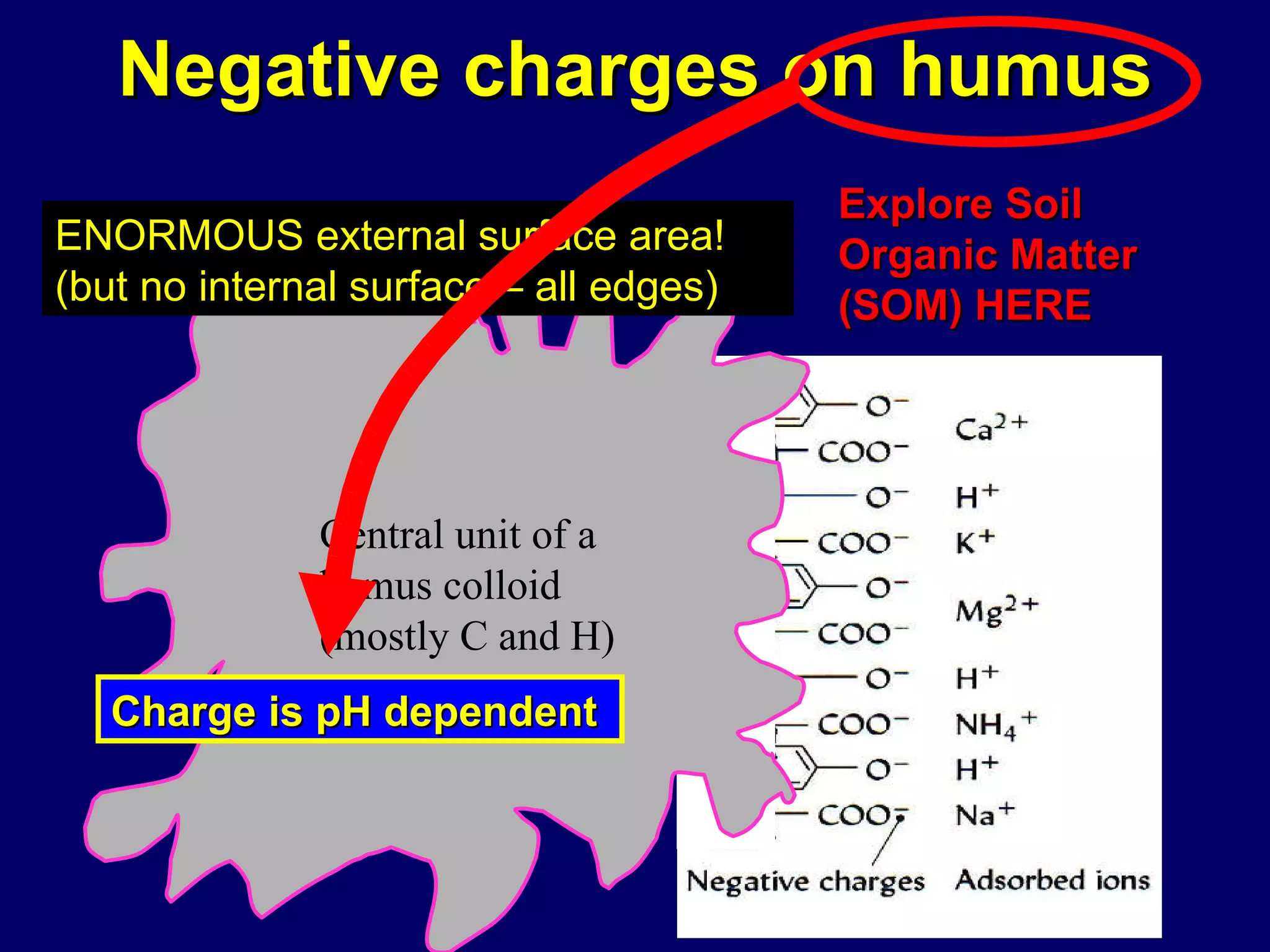 Negative charges on humus Central unit of a  humus colloid (mostly C and H) ENORMOUS external surface area! (but no internal surface – all edges) Charge is pH dependent  Explore Soil Organic Matter (SOM) HERE 