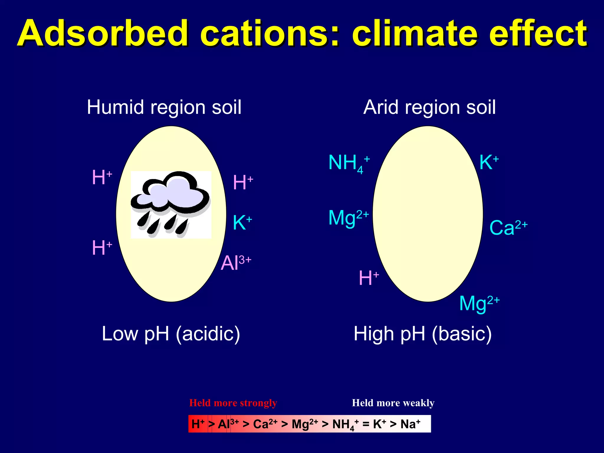 Adsorbed cations: climate effect Humid region soil Arid region soil Low pH (acidic) High pH (basic) H + H + H + Al 3+ K + K + Ca 2+ Mg 2+ H + Mg 2+ NH 4 + 