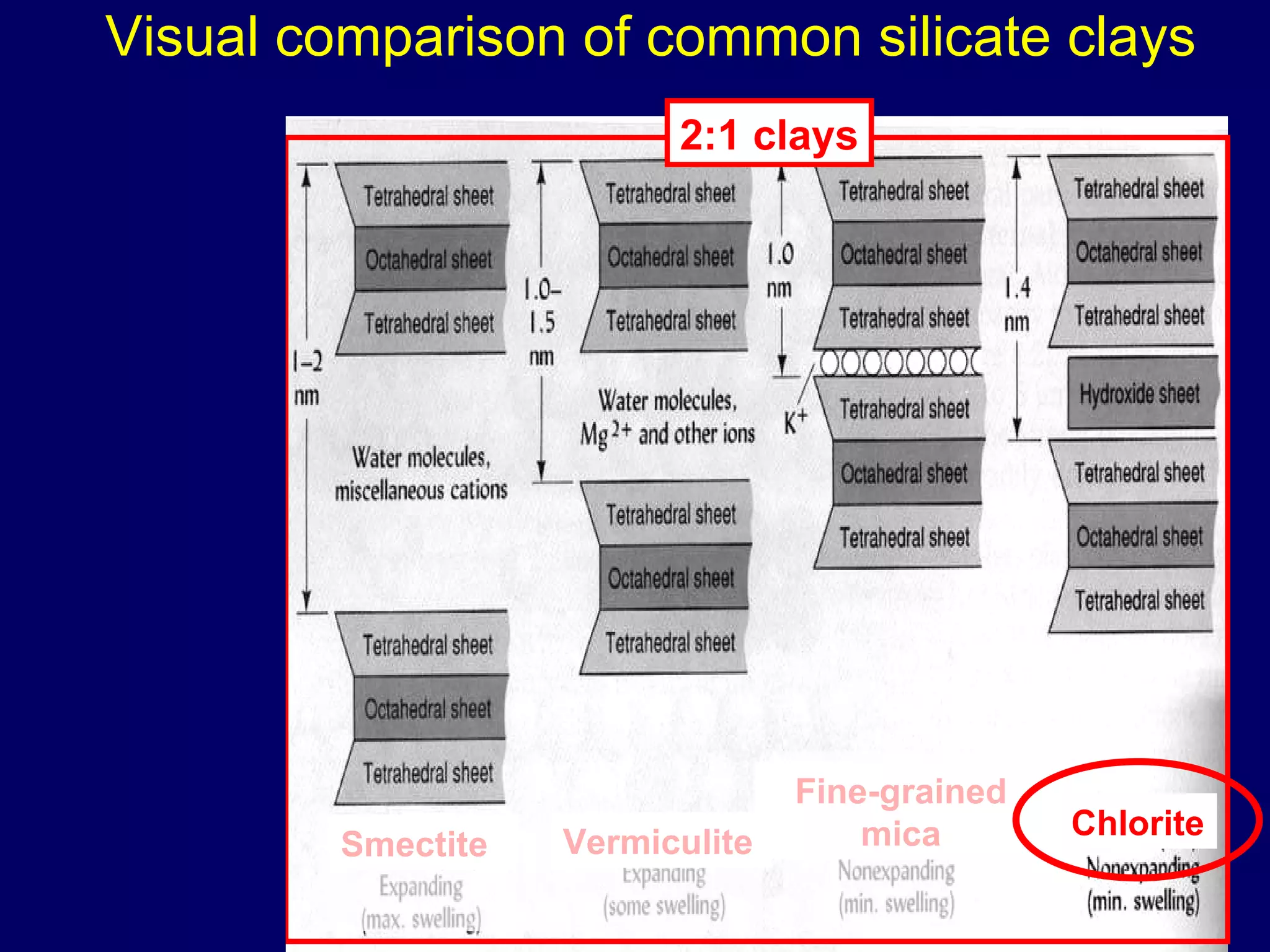 Visual comparison of common silicate clays Smectite Kaolinite1:1  Vermiculite Fine-grained mica Chlorite 2:1 clays 1:1 clays 