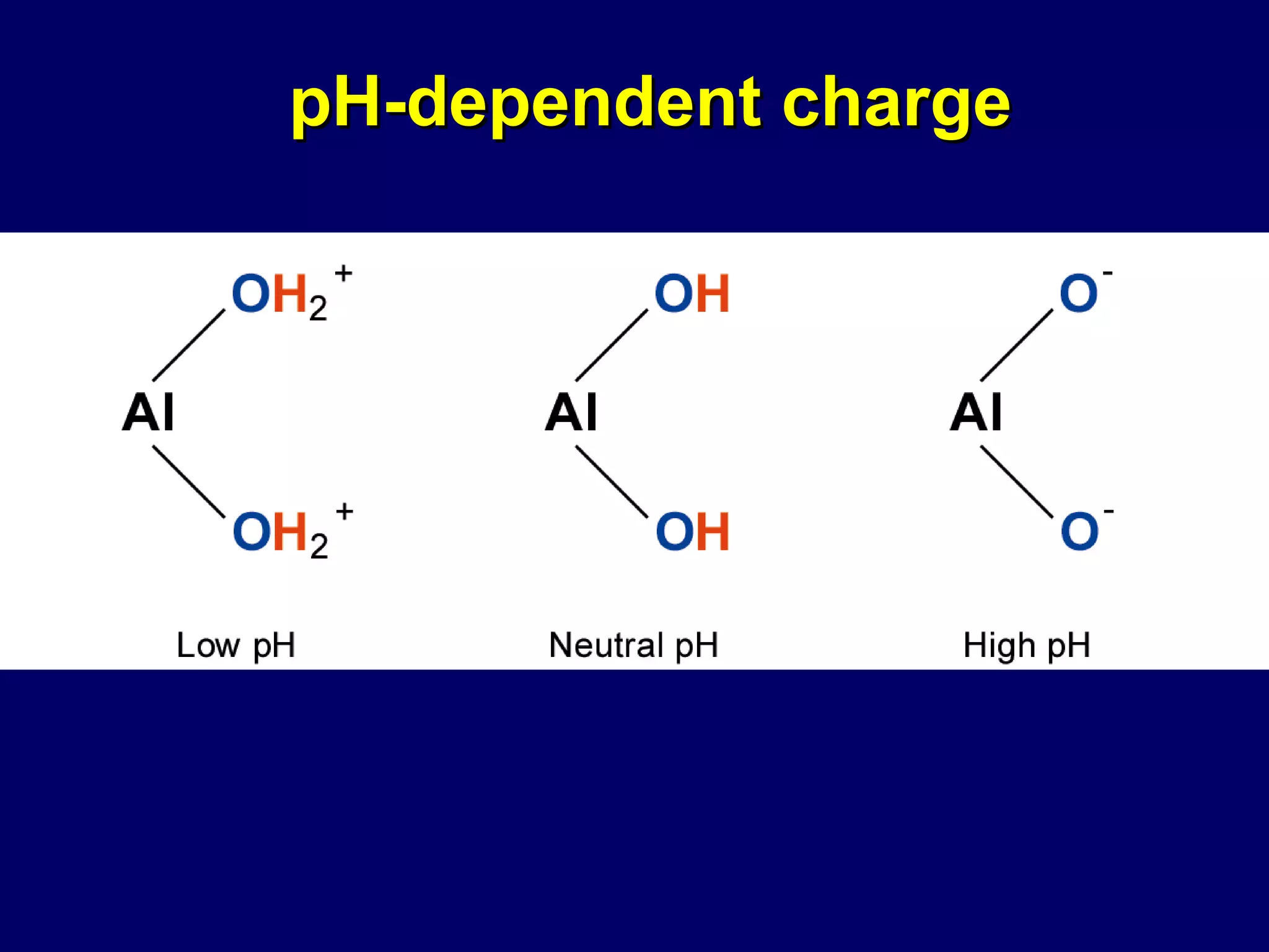 pH-dependent charge 