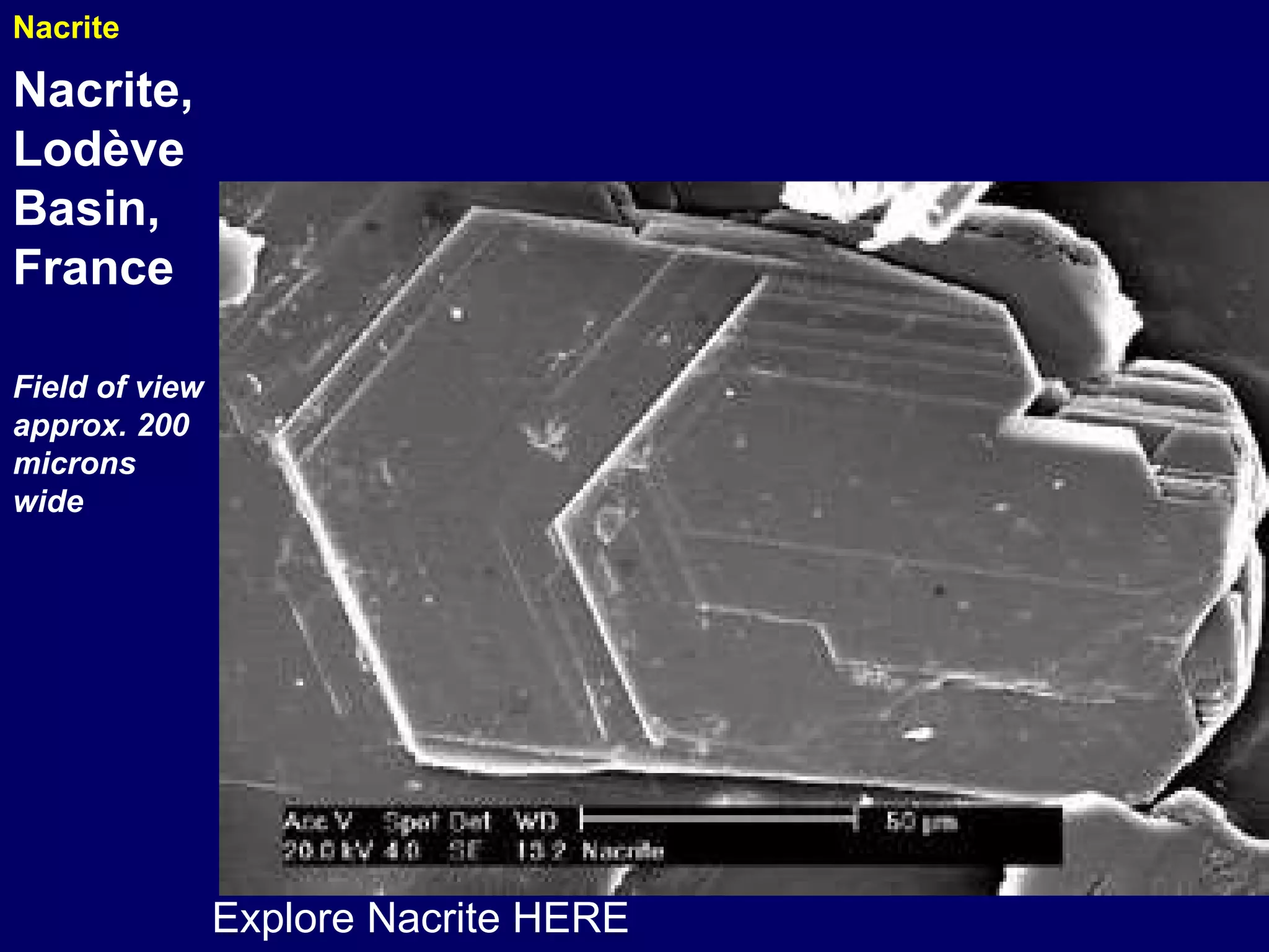 Explore Nacrite HERE Nacrite Nacrite, Lodève Basin, France                                        Field of view approx. 200 microns wide 