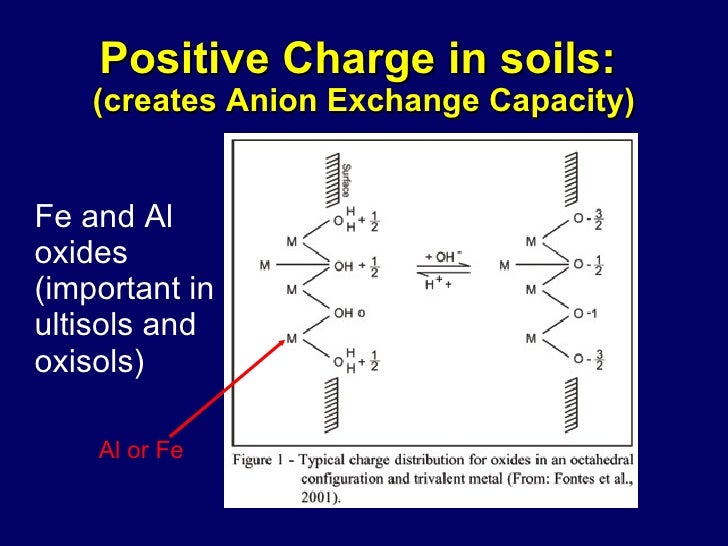 ANION EXCHANGE CAPACITY OF SOIL PDF DOWNLOAD ANION EXCHANGE CAPACITY OF SOIL PDF DOWNLOAD