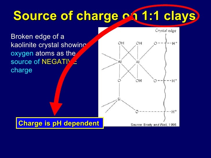 Week 7 Clay And Ion Exchange (1)