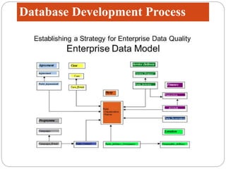 Week 7 Database Development Process | PPTX