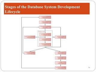 Week 7 Database Development Process | PPTX