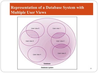 Week 7 Database Development Process | PPTX