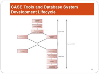 Week 7 Database Development Process | PPTX