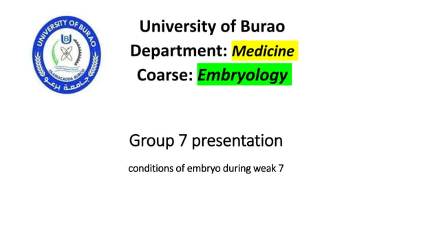 Week 7 embryo development .pptx