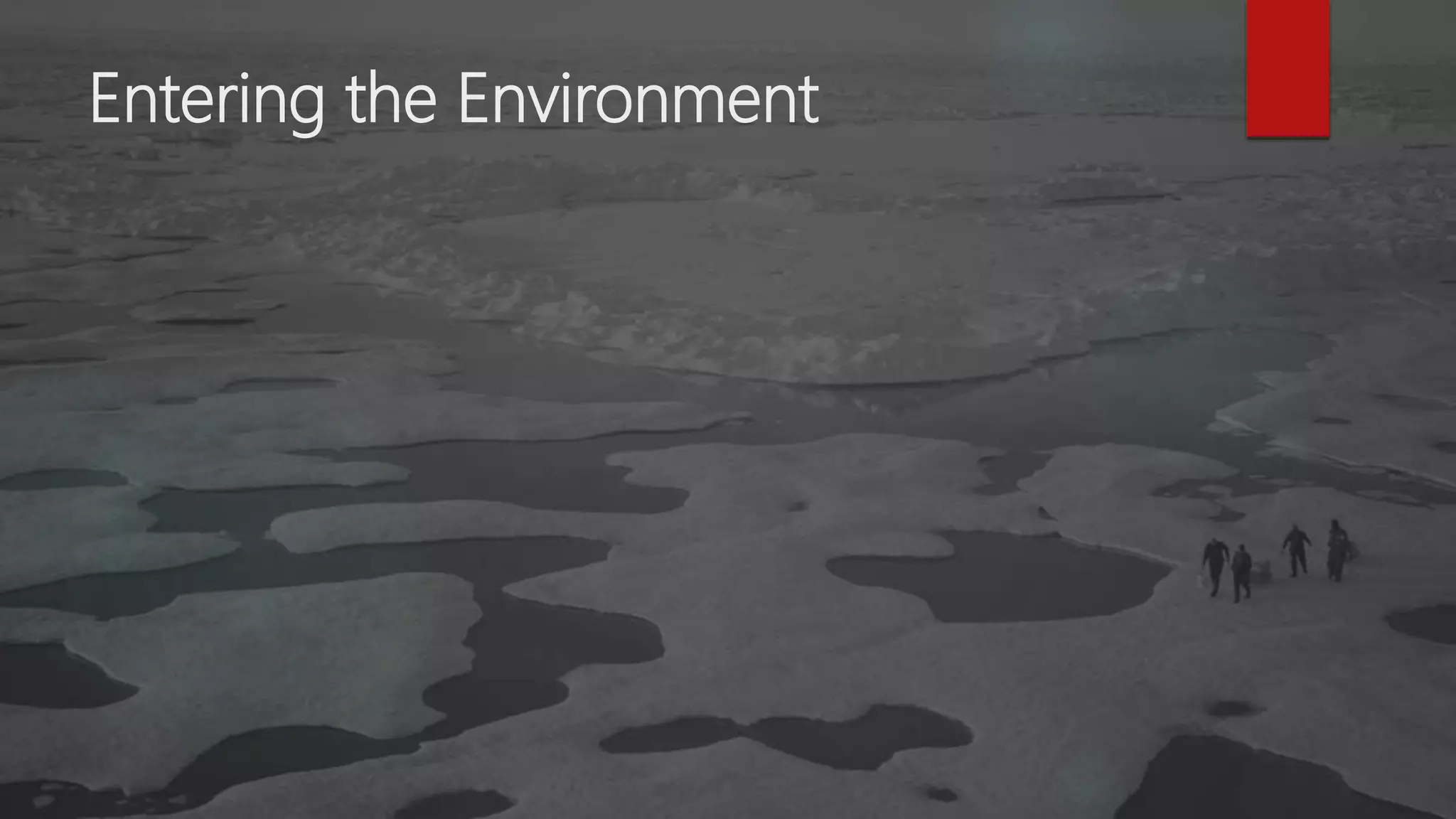 Entering the Environment
 