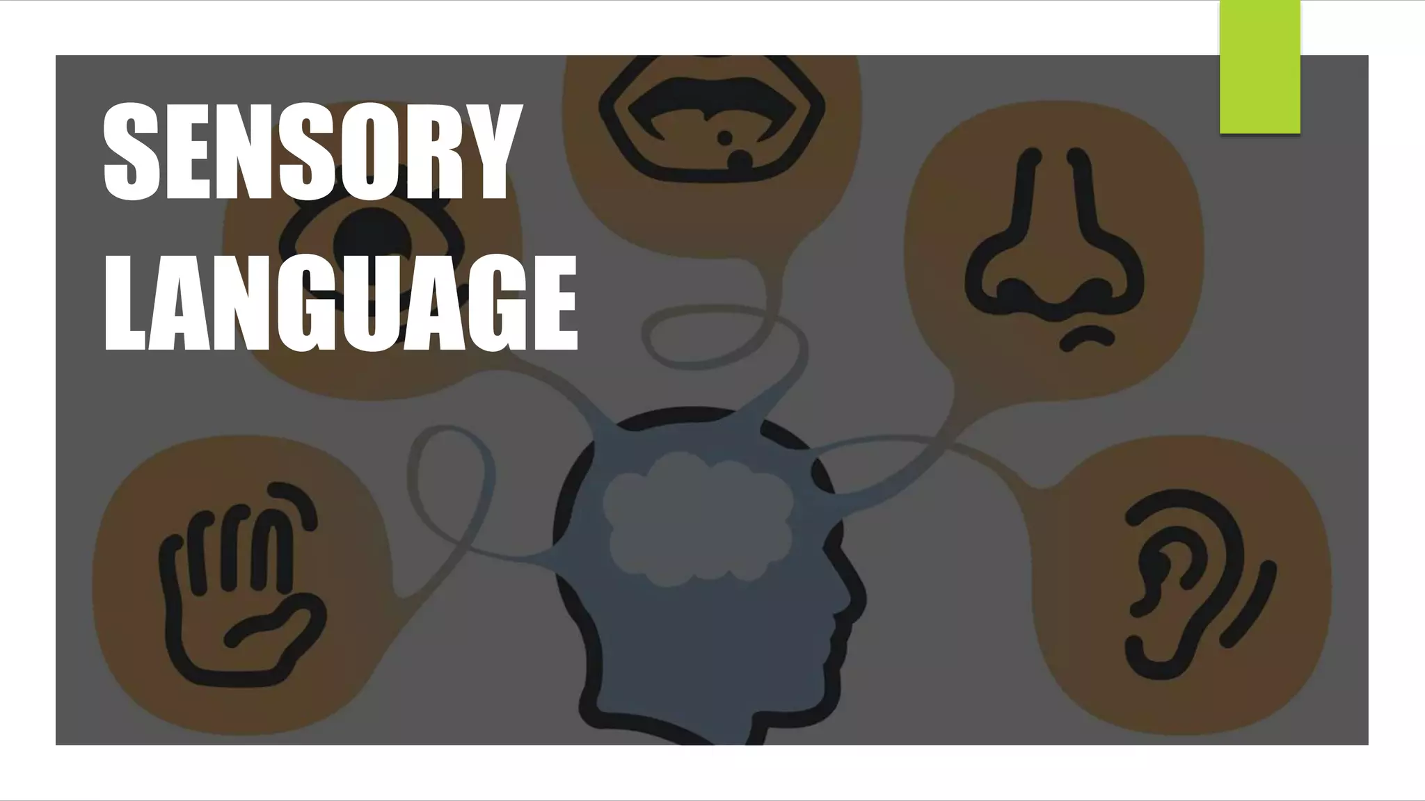 SENSORY
LANGUAGE
 