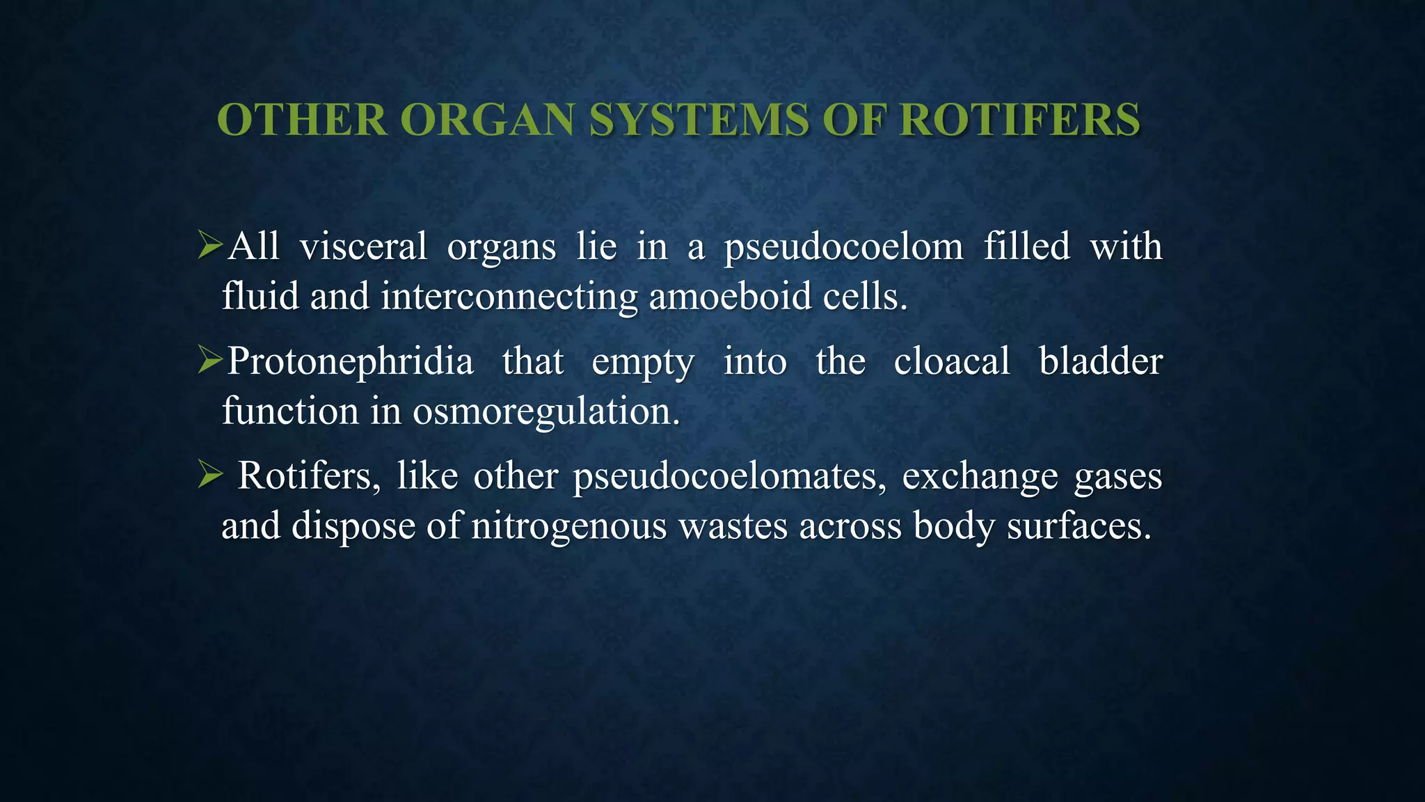 PHYLUM ROTIFERA | PPTX