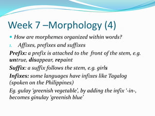 Week 7 –Morphology (4) How are morphemes organized within words? Affixes, prefixes and suffixes Prefix: a prefix is attached to the  front of the stem, e.g. untrue, disappear, repaint Suffix: a suffix follows the stem, e.g. girls Infixes: some languages have infixes like Tagalog (spoken on the Philippines) Eg. gulay ‘greenish vegetable’, by adding the infix ‘-in-, becomes ginulay ‘greenish blue’ 