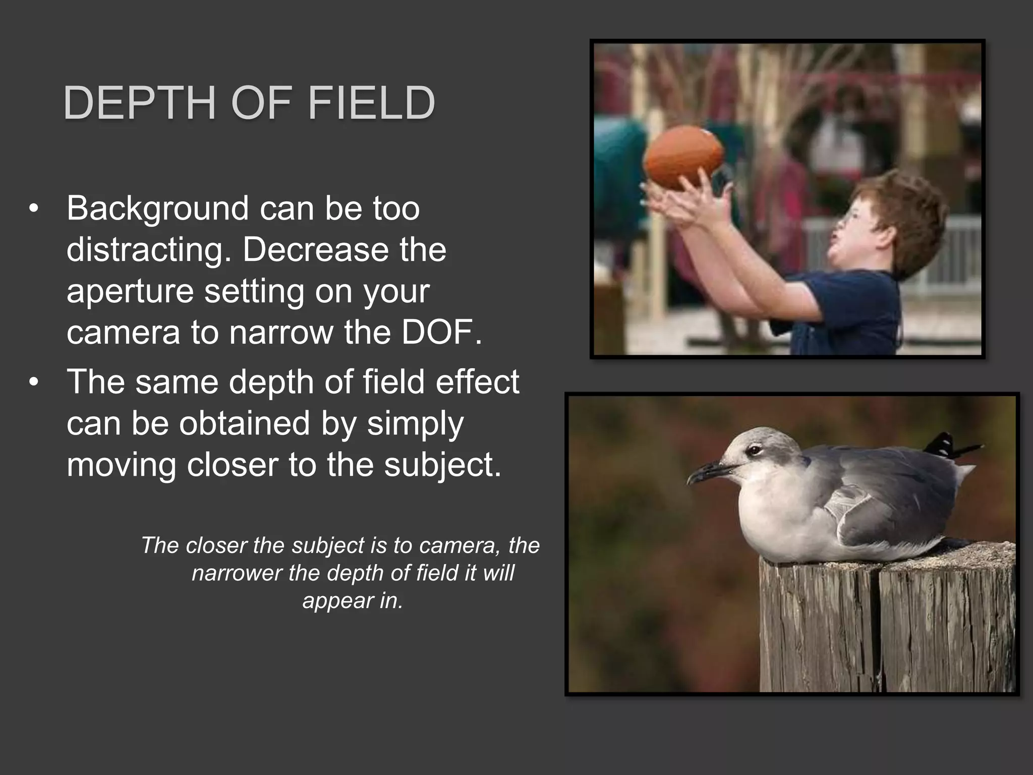 Life – Digital Photography School contest resultshttp://digital-photography-school.com/life-winners-announcedPhoto bybigmakoy