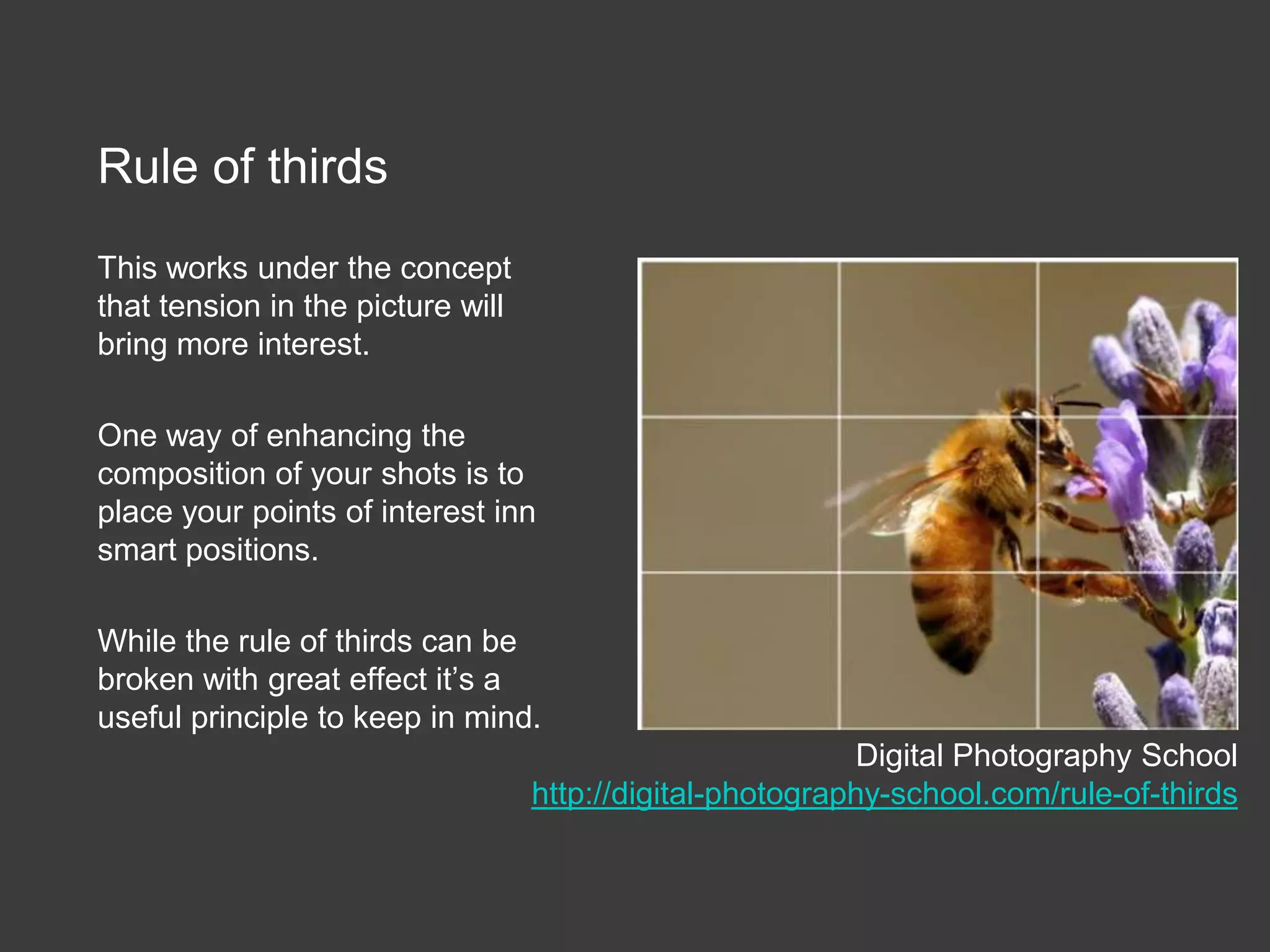 The Vacation PortraitFamily with nice background sceneProblem: too much background, but you can barely tell who is in the photoIn portraits – the subject is the peopleToo much background can cause conflict 