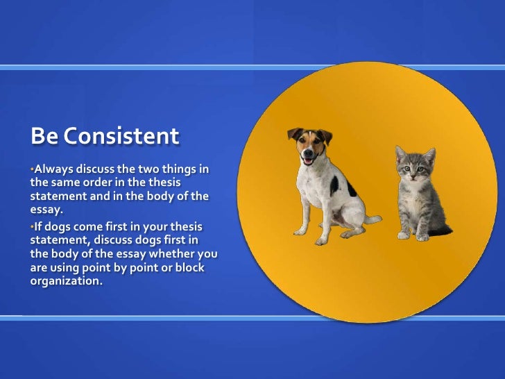 how to write a compare and contrast essay dogs and cats