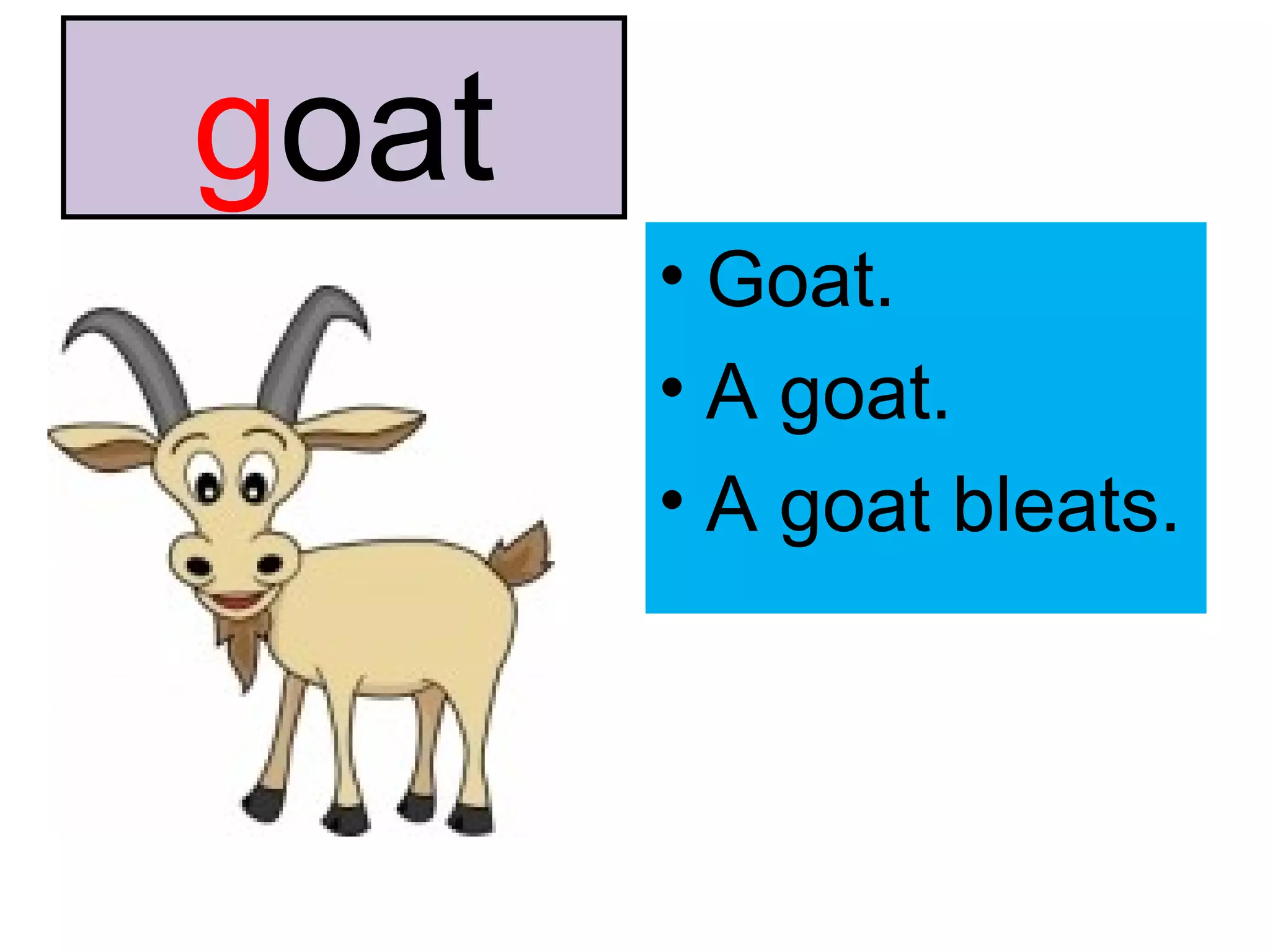 g oat Goat. A goat. A goat bleats. 