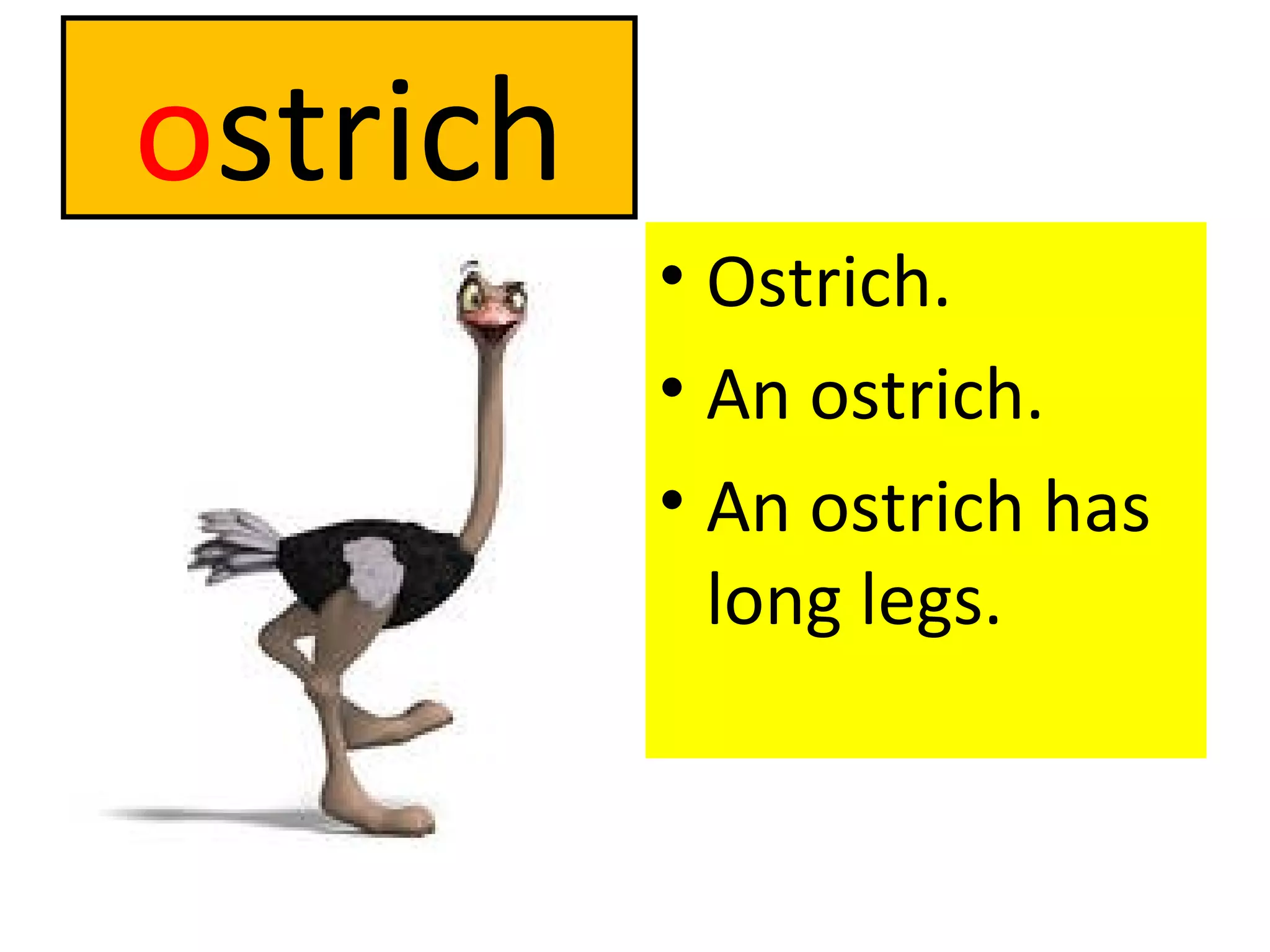 o strich Ostrich. An ostrich. An ostrich has long legs. 