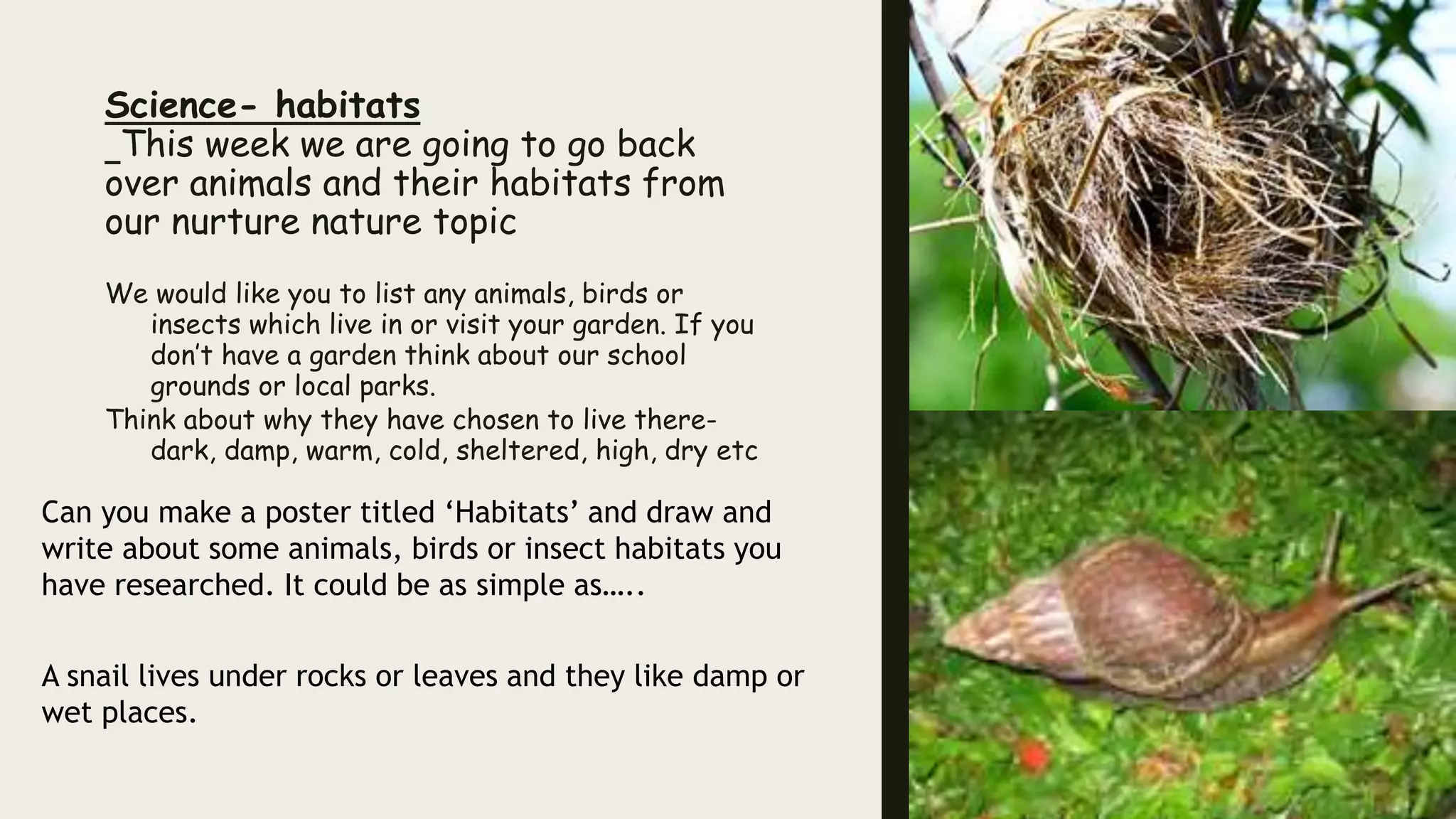 Science- habitats
This week we are going to go back
over animals and their habitats from
our nurture nature topic
We would like you to list any animals, birds or
insects which live in or visit your garden. If you
don’t have a garden think about our school
grounds or local parks.
Think about why they have chosen to live there-
dark, damp, warm, cold, sheltered, high, dry etc
Can you make a poster titled ‘Habitats’ and draw and
write about some animals, birds or insect habitats you
have researched. It could be as simple as…..
A snail lives under rocks or leaves and they like damp or
wet places.
 