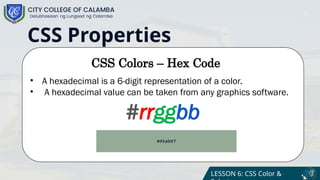 Cascading Style Sheet Color and Selector | PPTX