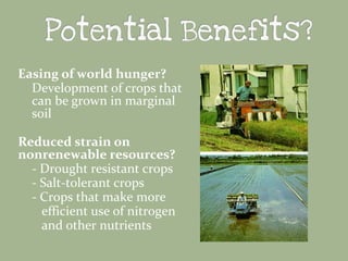 Easing of world hunger?
Development of crops that
can be grown in marginal
soil
Reduced strain on
nonrenewable resources?
- Drought resistant crops
- Salt-tolerant crops
- Crops that make more
efficient use of nitrogen
and other nutrients

 