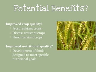 Improved crop quality?
 Frost resistant crops
 Disease resistant crops
 Flood resistant crops
Improved nutritional quality?
 Development of foods
designed to meet specific
nutritional goals

 