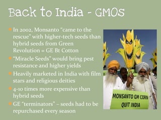 In 2002, Monsanto “came to the

rescue” with higher-tech seeds than
hybrid seeds from Green
Revolution = GE Bt Cotton
“Miracle Seeds” would bring pest
resistance and higher yields
Heavily marketed in India with film
stars and religious deities
4-10 times more expensive than
hybrid seeds
GE “terminators” – seeds had to be
repurchased every season

 