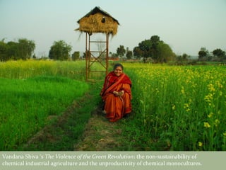 Vandana Shiva ‘s The Violence of the Green Revolution: the non-sustainability of
chemical industrial agriculture and the unproductivity of chemical monocultures.

 