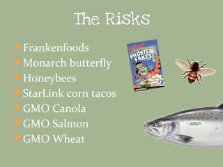 Frankenfoods
Monarch butterfly
Honeybees
StarLink corn tacos
GMO Canola
GMO Salmon
GMO Wheat

 