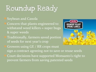Soybean and Canola
Concern that plants engineered to

withstand weed killers = super bugs
& super weeds
Traditionally, farmers saved portion
of seeds for next year’s crop
Growers using GE / RR crops must
sign a contract agreeing not to save or reuse seeds
Court decisions have supported Monsanto’s right to
prevent farmers from saving patented seeds

 